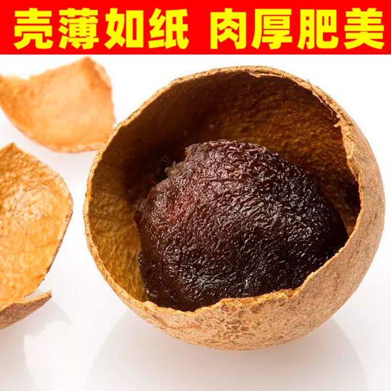 【当季精选】28A大果福建特产壳薄肉厚龙眼干精选正宗莆田桂圆干