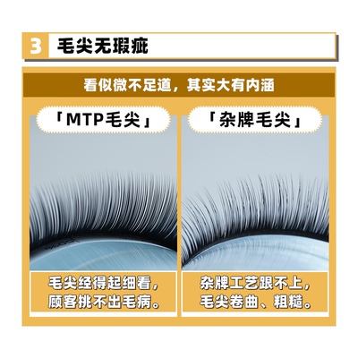 美睫黑色山茶花超经典款好开花