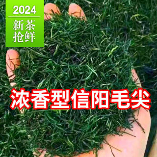 正宗毛尖绿茶信阳毛尖2024年新茶叶明前手工嫩芽浓香耐泡型250g