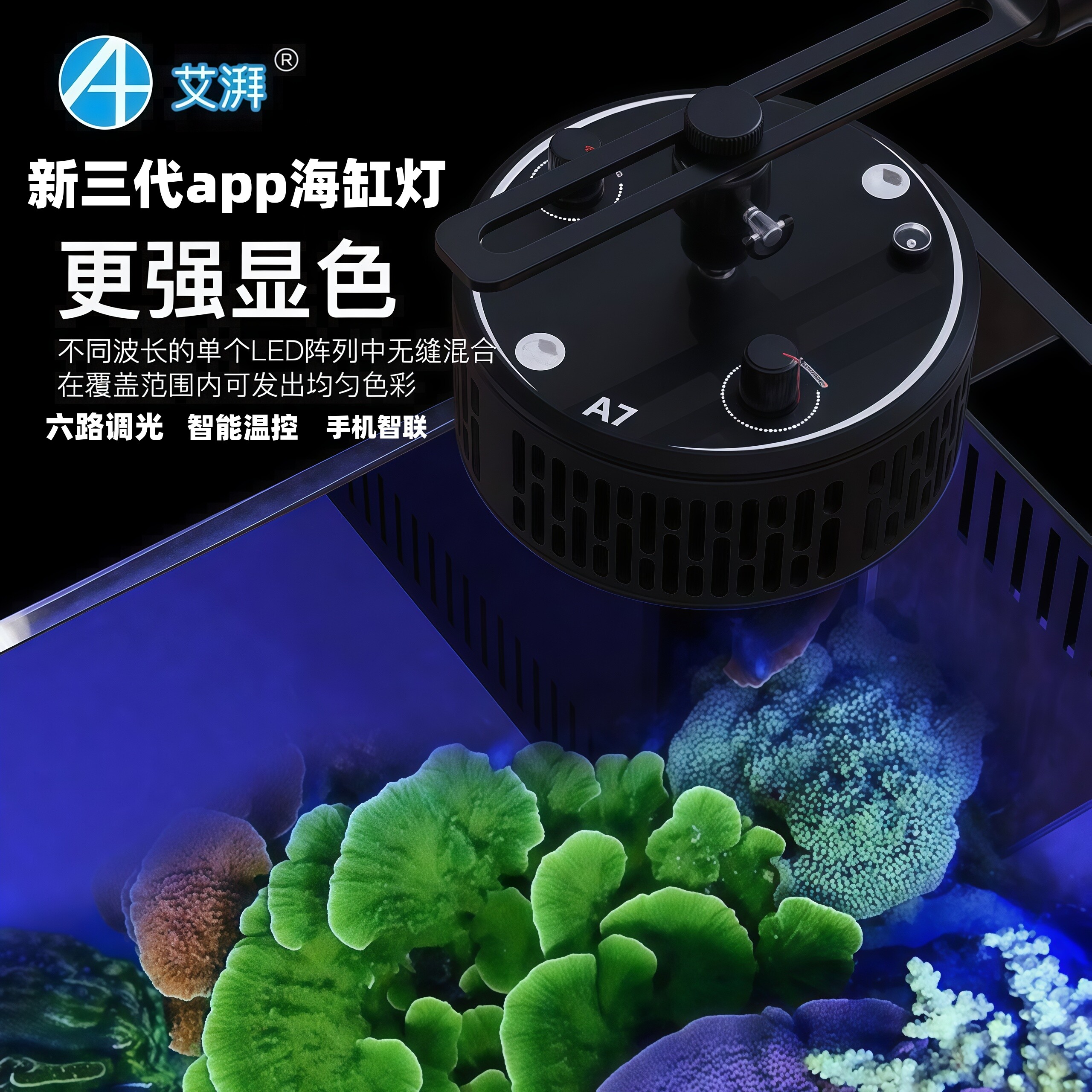 A7SIII珊瑚灯100W/360°App控图片