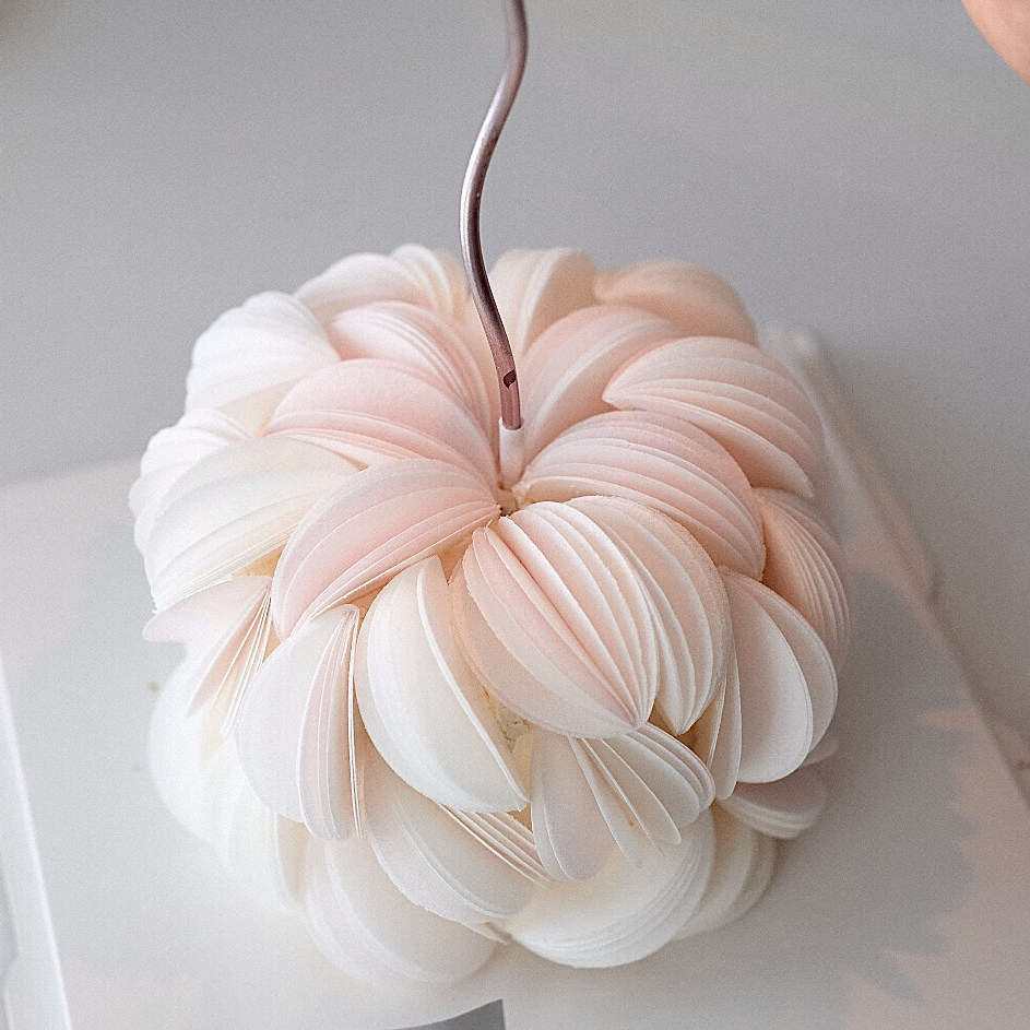 佳妍老师同款糯米纸花蛋糕装饰威化纸花朵花瓣生日纪念日烘焙插件