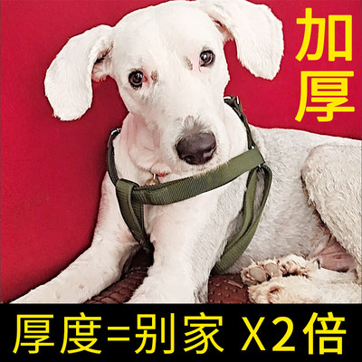 中大型犬遛狗牵引绳背带式绳子