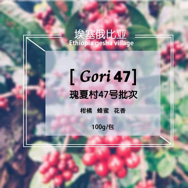 两包8.5折瑰夏村Gori47Geisha水洗柑橘蜂蜜手冲咖啡豆100g易爵EJ在类目 咖啡/麦片/冲饮, 速溶咖啡/咖啡豆/粉, 咖啡豆/粉, 咖啡豆中 - 来自Buy2taobao.com提供专业的淘宝代购服务