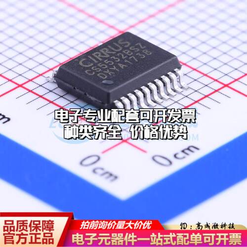 全新正品CS5532BSZ SSOP-20-208mil 模数转换芯片ADC质量保证