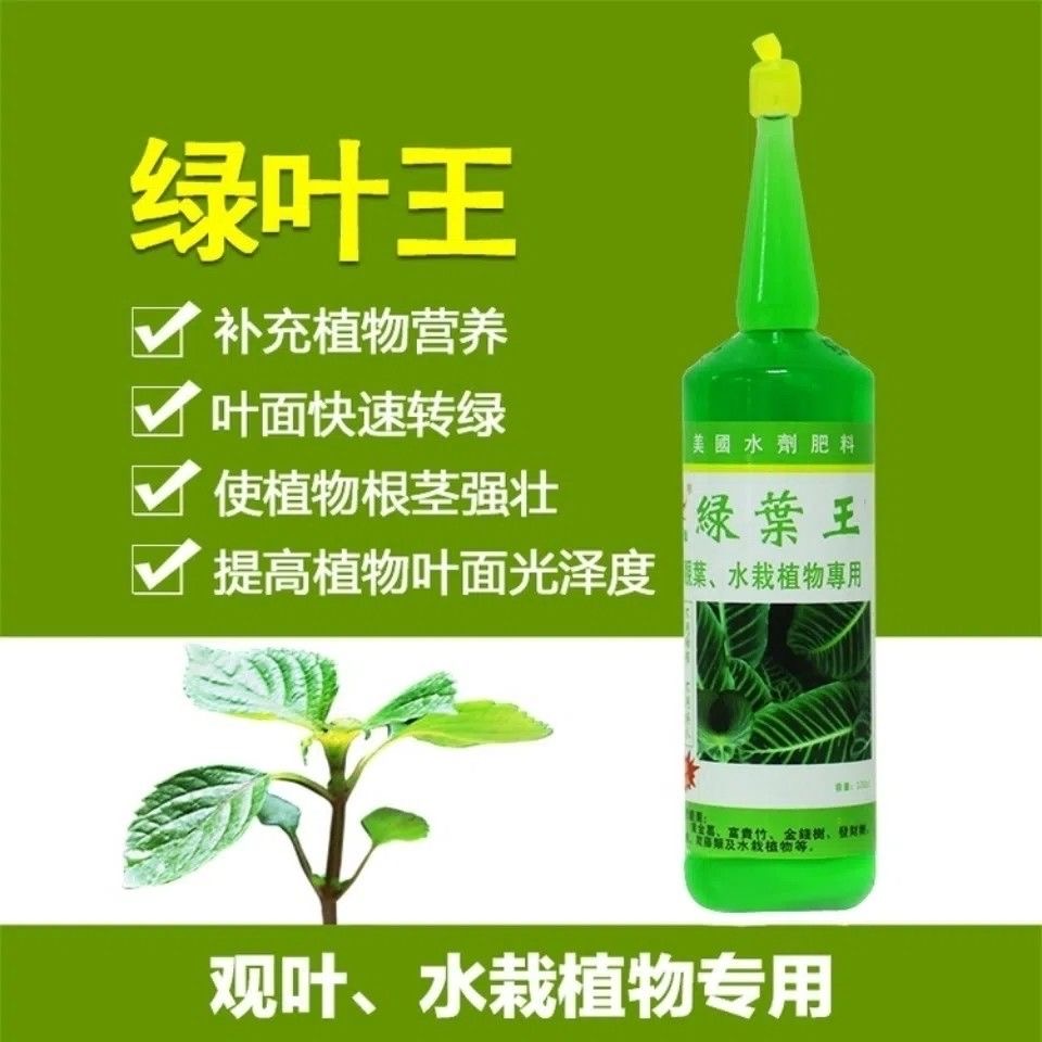 绿叶王营养液通用型绿萝观音竹富贵竹营养液养花水培土培植物通用
