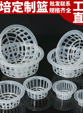 水培定植篮土培植物固定篮玻璃花瓶花篮水培器皿绿萝富贵竹固根器