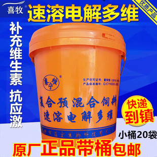 兽用 速溶电解多维兽用维生素电解质猪牛羊鸡鸭鹅用维生素电解质