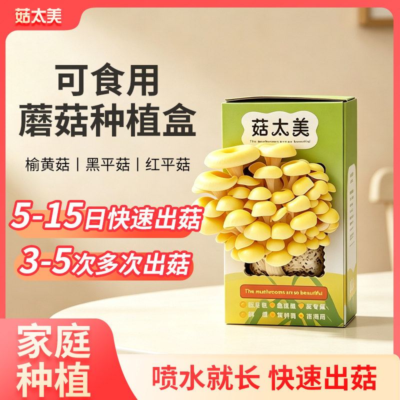 植物生长观察全班作业厨房小蔬菜