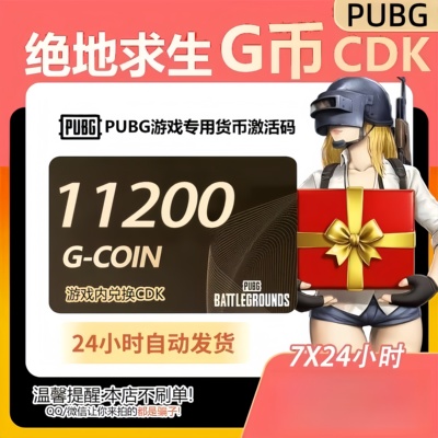 绝地求生PUBG G币11200G币官方正版CDK