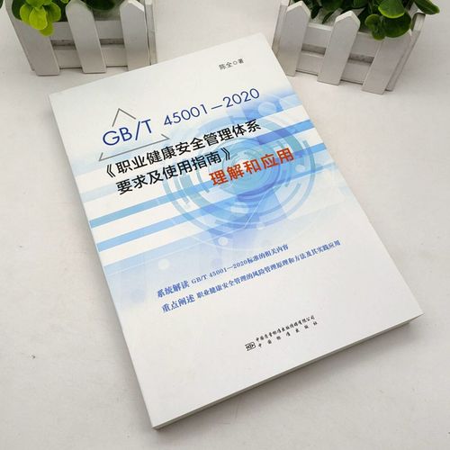 GB/T45001-2020《职业健康安全管理体系 要求及使用指南》理解和应用 中国标准出版社 9787506697385