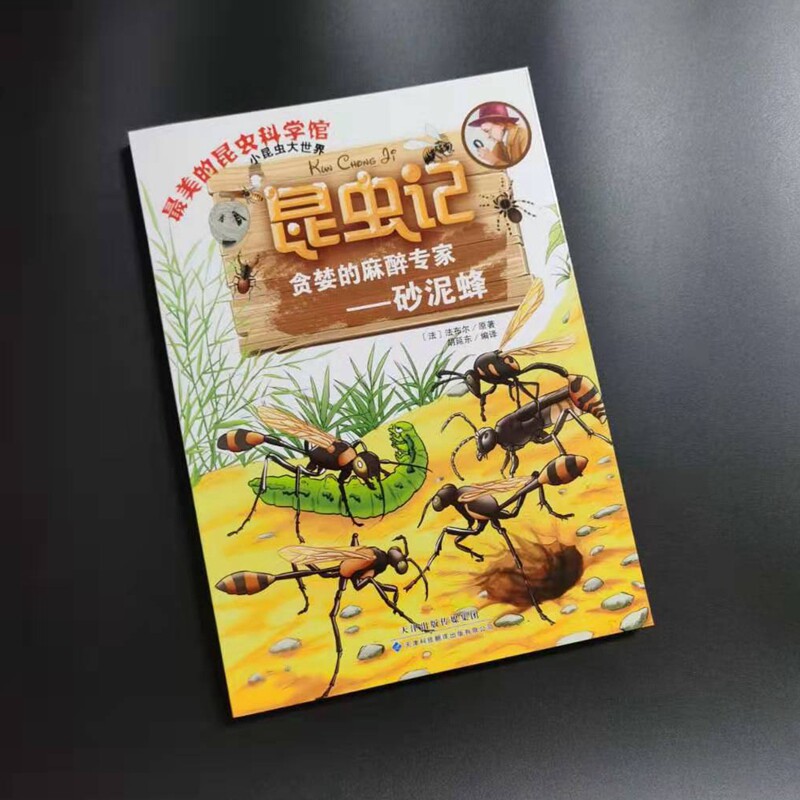昆虫记·贪婪的麻醉专家—砂泥蜂9787543335028天津出版传媒集团
