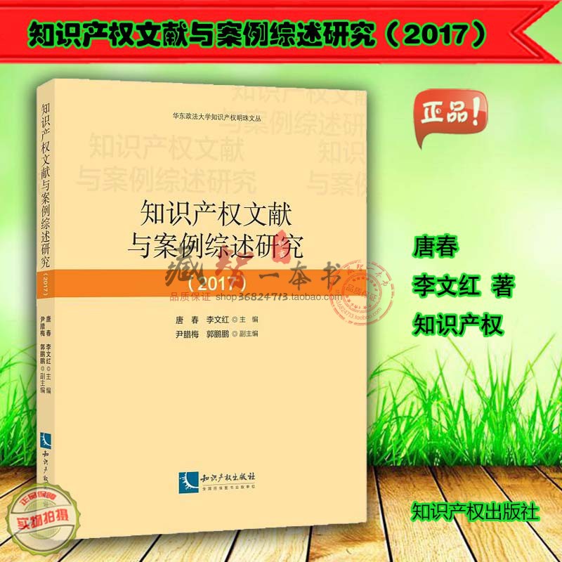 知识产权文献案例综述研究