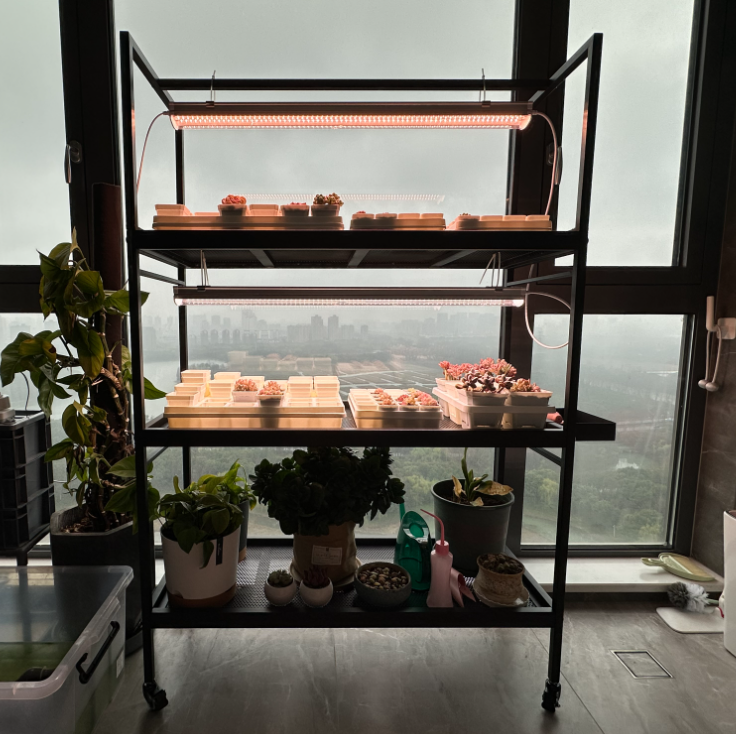 简约知三月多肉花架多层大容量