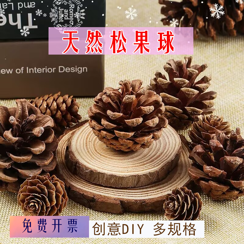 松果装饰松塔橡果干花手工diy