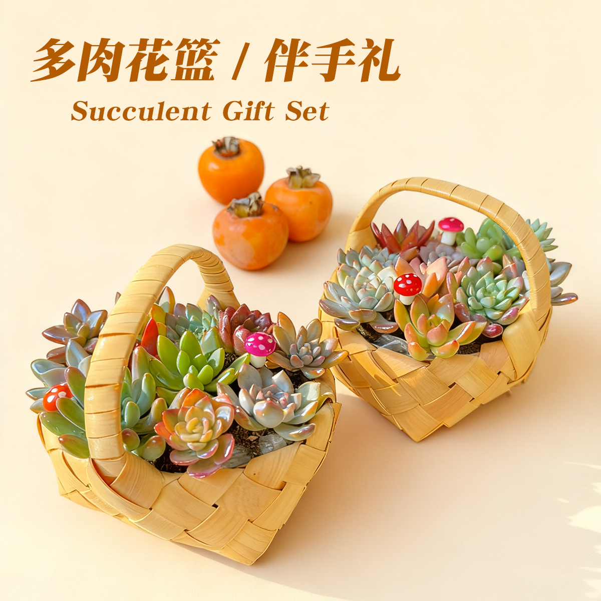 多肉花篮组合植物桌面盆栽伴手礼活动礼品定制成品商务个性礼盒