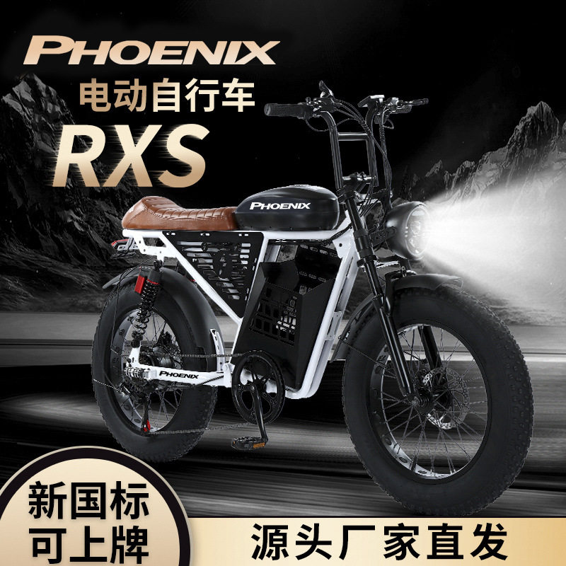 电动自行车新国标rxs越野宽胎助力复古电瓶车锂电车通勤日常通勤