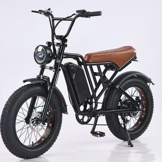 ebike电动自行车4.0轮胎欧洲20寸胖胎沙滩雪地越野锂电助力车