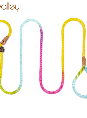 美ALVALLEY狗链狗P绳防爆冲P链赛级宠物大型小型犬训狗遛狗牵引绳