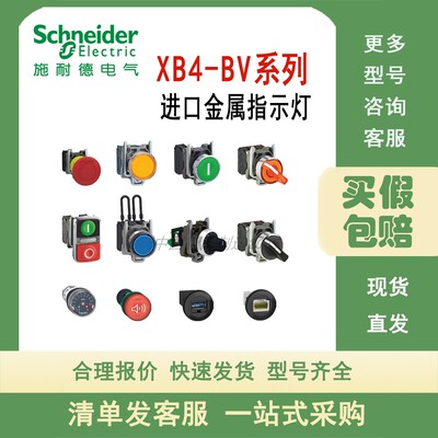施耐德指示灯XB4BVM4 XB4BVM1 XB4BVB5 XB4BVB3 XB4BVB1 XB4BV45