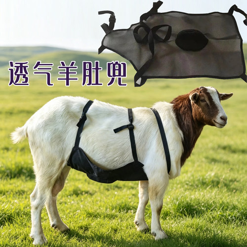草原养殖母羊防公羊爬跨羊肚兜