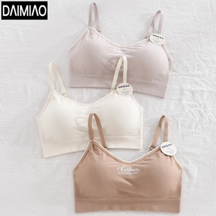春新款美背内衣女士小胸聚拢文胸无钢圈一体固定加厚杯细肩带胸罩