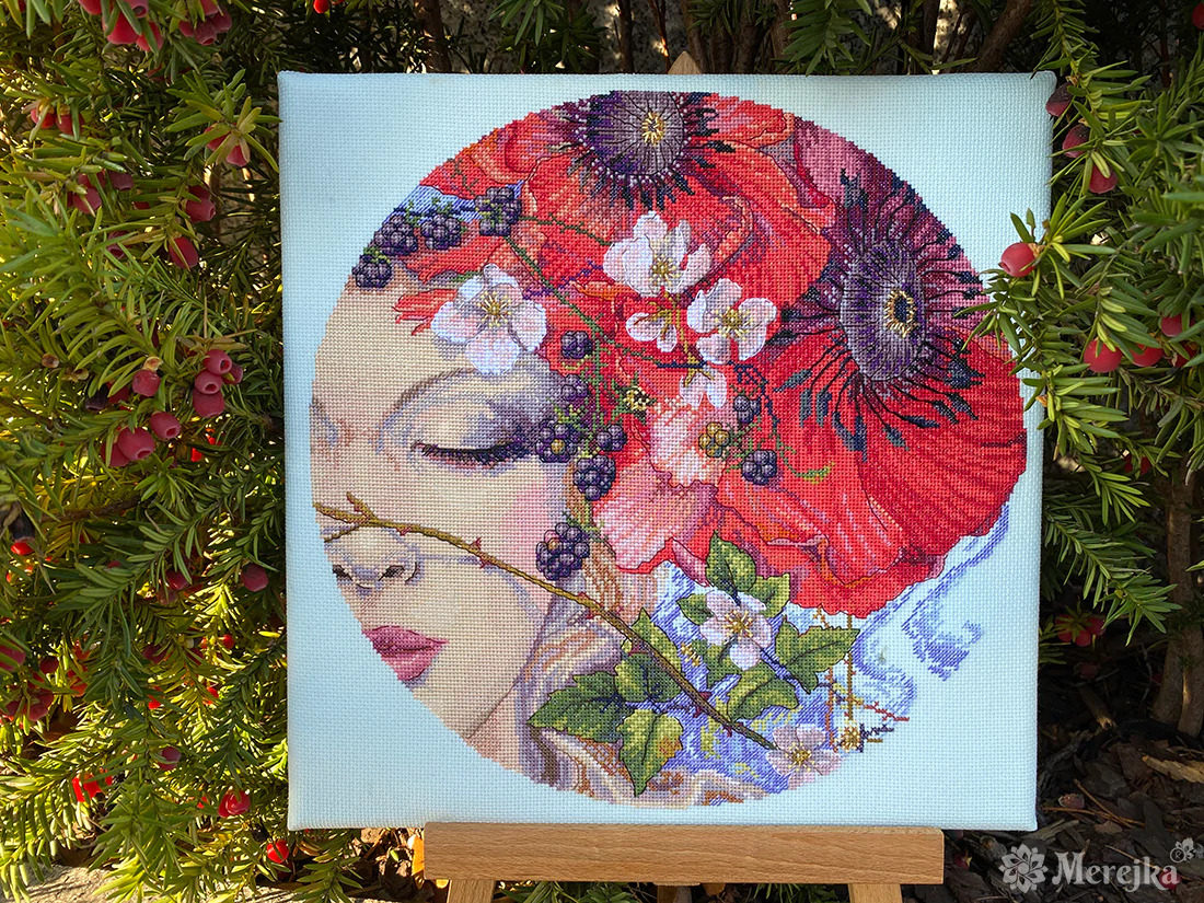 merejka k-185 睡美人 十字绣 saga格式xsd重绘源文件电子图纸