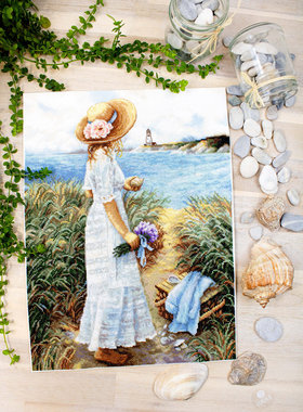 Luca-S B2403 An Intimate View 十字绣 saga格式XSD重绘源文件图