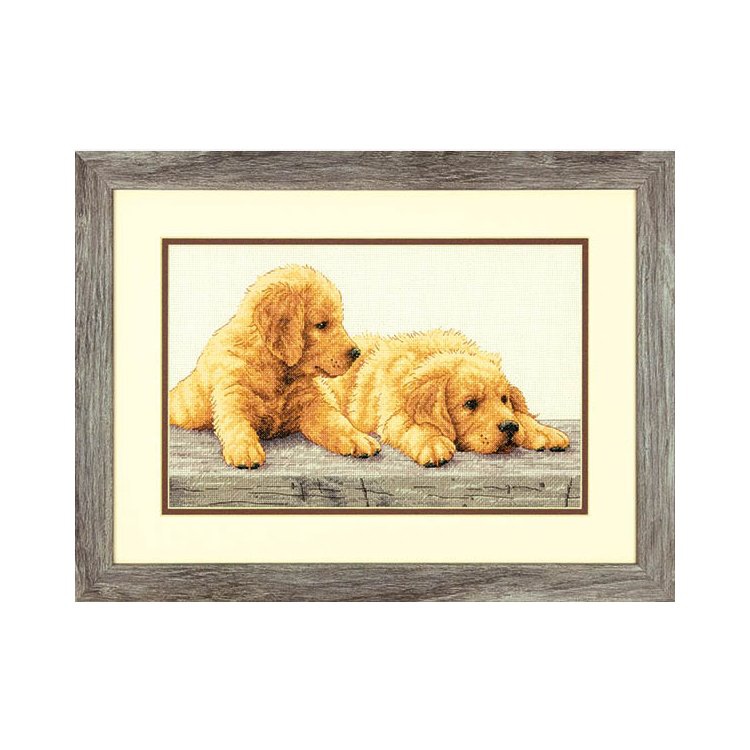 Dim70-35309 小金毛 十字绣 saga格式XSD重绘源文件电子图纸