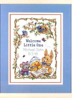 Dim03845 出生证明 十字绣 saga格式XSD重绘源文件电子图纸