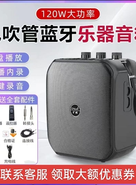 CallVi扩威 X30双无线蓝牙大功率乐器专用音箱扩音器户外多功能用