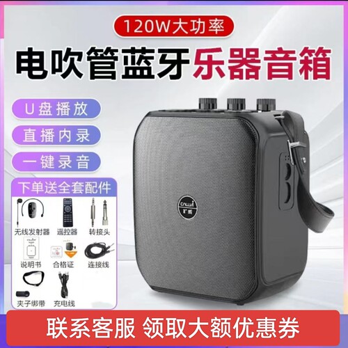 CallVi扩威 X30双无线蓝牙大功率乐器专用音箱扩音器户外多功能用