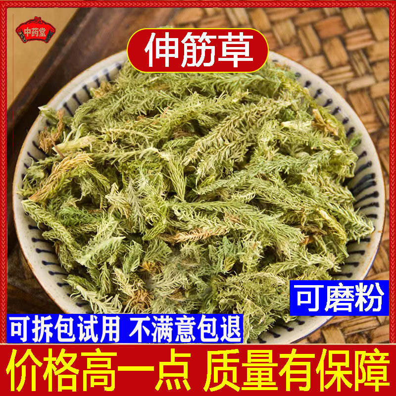 野生伸筋草500g伸筋草粉中药材伸筋草透骨草泡脚包伸筋草小舒筋草