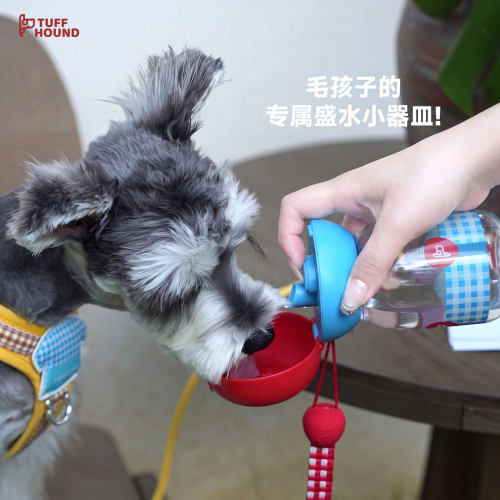 它愿宠物便携饮水杯狗猫通用