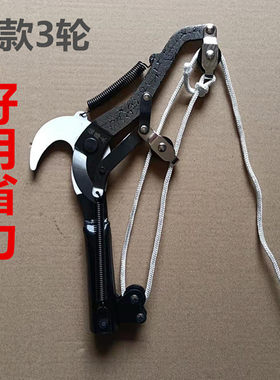 日本林子王进口钢材高空剪