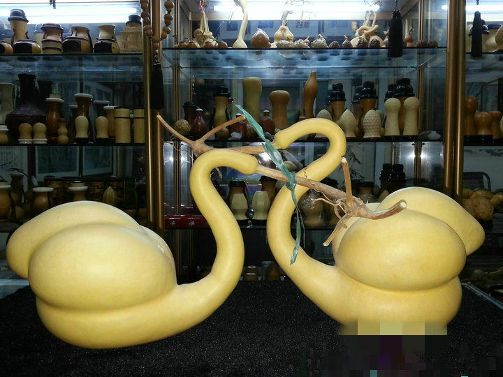 天一阁文玩精品异形勒扎打结配对夫妻天鹅摆件招财葫芦天然把件