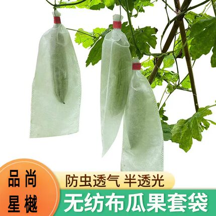 丝瓜防虫套瓜袋套袋水果黄瓜防蜂蚊果蝇无纺布苦瓜透气半透光通用