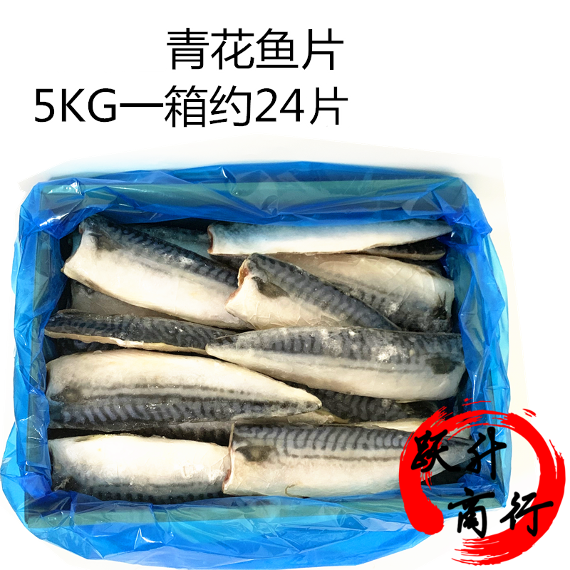 青花鱼教练