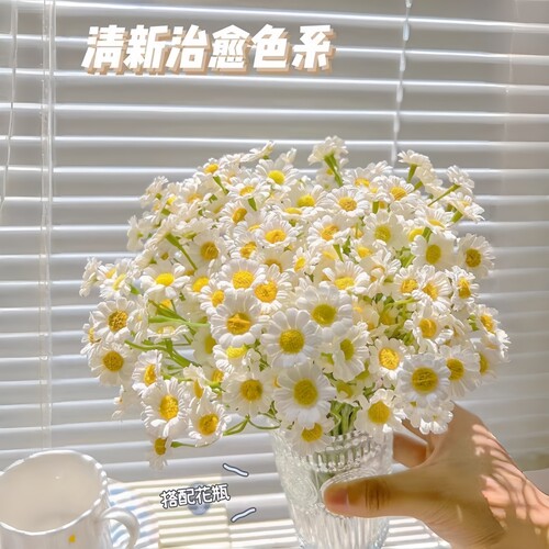 小雏菊ins风绿植装饰花卉