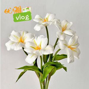 现代简约仿真花布朗尼开口郁金香
