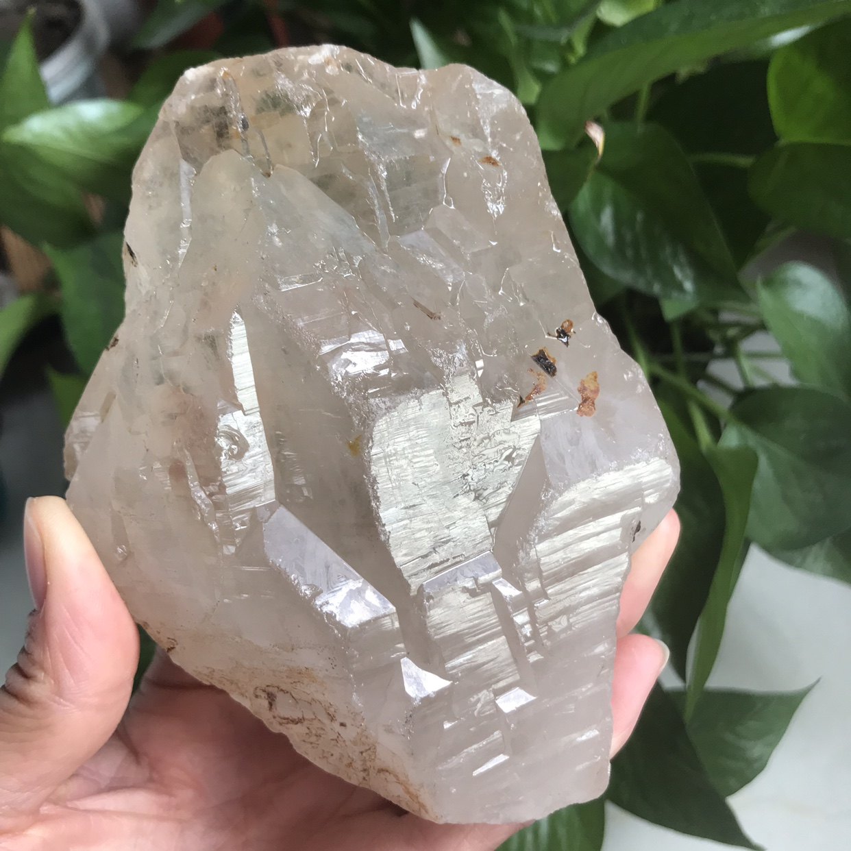 마다가스카르 천연 화이트 크리스탈 거친 돌 장식품 밝은 피부 백본 크리스탈 홈 장식