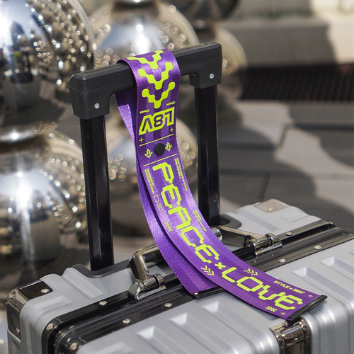 CHASE高级感登机牌行李挂牌防丢