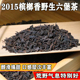 梧州六堡茶2015年槟榔香野生六堡茶荒野气息绵甜回甘正品 大箩茶叶