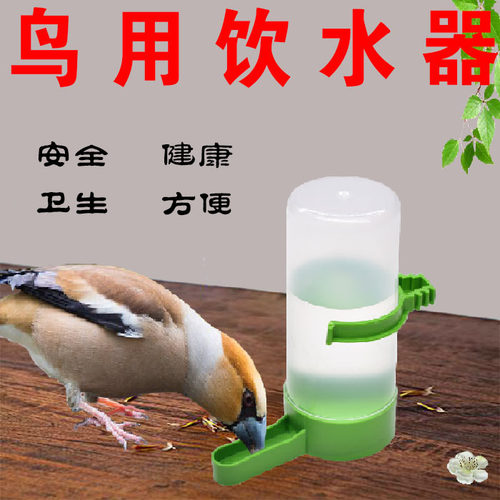 鸟饮水器用具虎皮鹦鹉牡丹