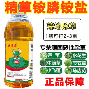 速草霸精草铵磷铵盐正品开荒地除草杀草剂农药荒地空地专用除草剂