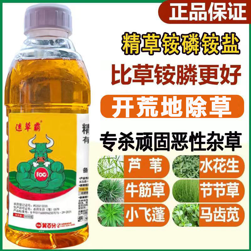 速草霸精草铵磷铵盐正品恶性杂草牛筋草小飞蓬水花生芦苇除草剂