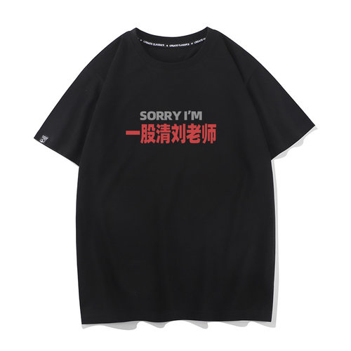秀洛sorry一股清刘老师夏季搞笑短袖T恤男女打底衫情侣半袖纯棉
