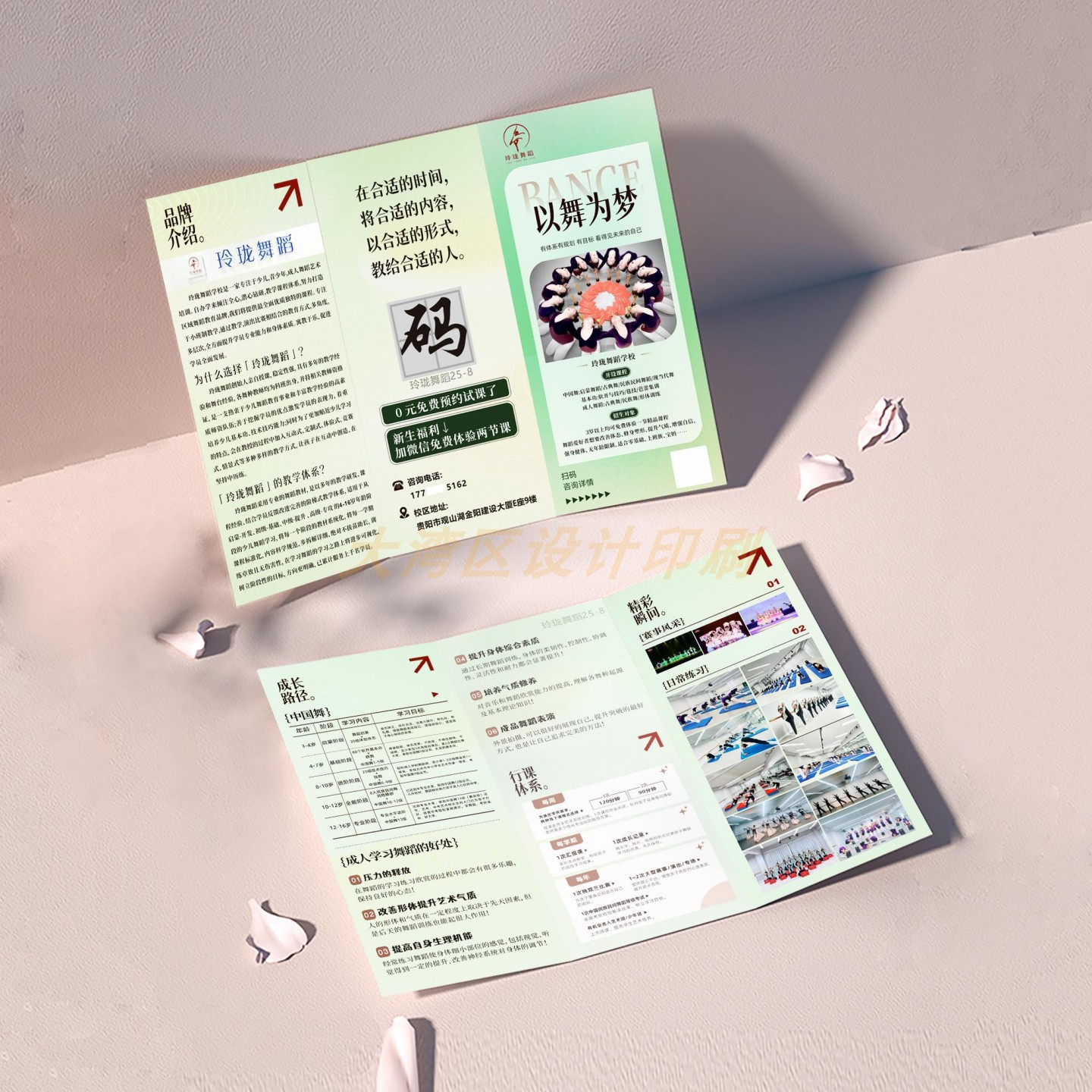 舞蹈培训机构招生简章三折页定制