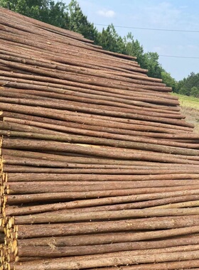 天然带皮杉木杆河道围栏打桩绿化支撑杆婚庆拱门架子装饰造景树段