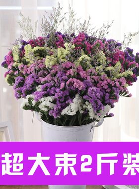 家用干花束干花办公室新款熏衣草花房间客厅插花瓶清新居家风干