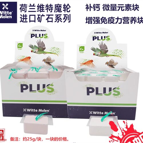 鹦鹉啃咬荷兰维特魔轮矿物质